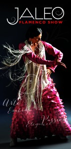 Agenda de actividades de Enero, semana del 11 al 17 Museo MIMMA Málaga jaleo flamenco