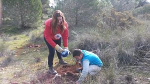 Los Voluntarios de “la Caixa” de Málaga participan en una reforestación medioambiental en Coín junto a colectivos vulnerables Los Voluntarios de “la Caixa” de Málaga participan en una reforestación medioambiental en Coín junto a colectivos vulnerables