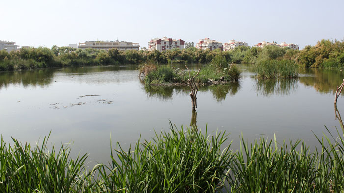 EL PROGRAMA EDUCATIVO MEDIOAMBIENTAL IMPARTIDO EN MÁLAGA INCORPORA ESTE CURSO EL CUIDADO DE LAS MASCOTAS Y LAS NUEVAS TECNOLOGÍAS