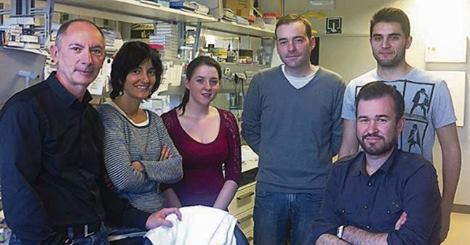 Un grupo de cientificos gallegos logran frenar el cáncer de mama, con células madre procedentes del útero