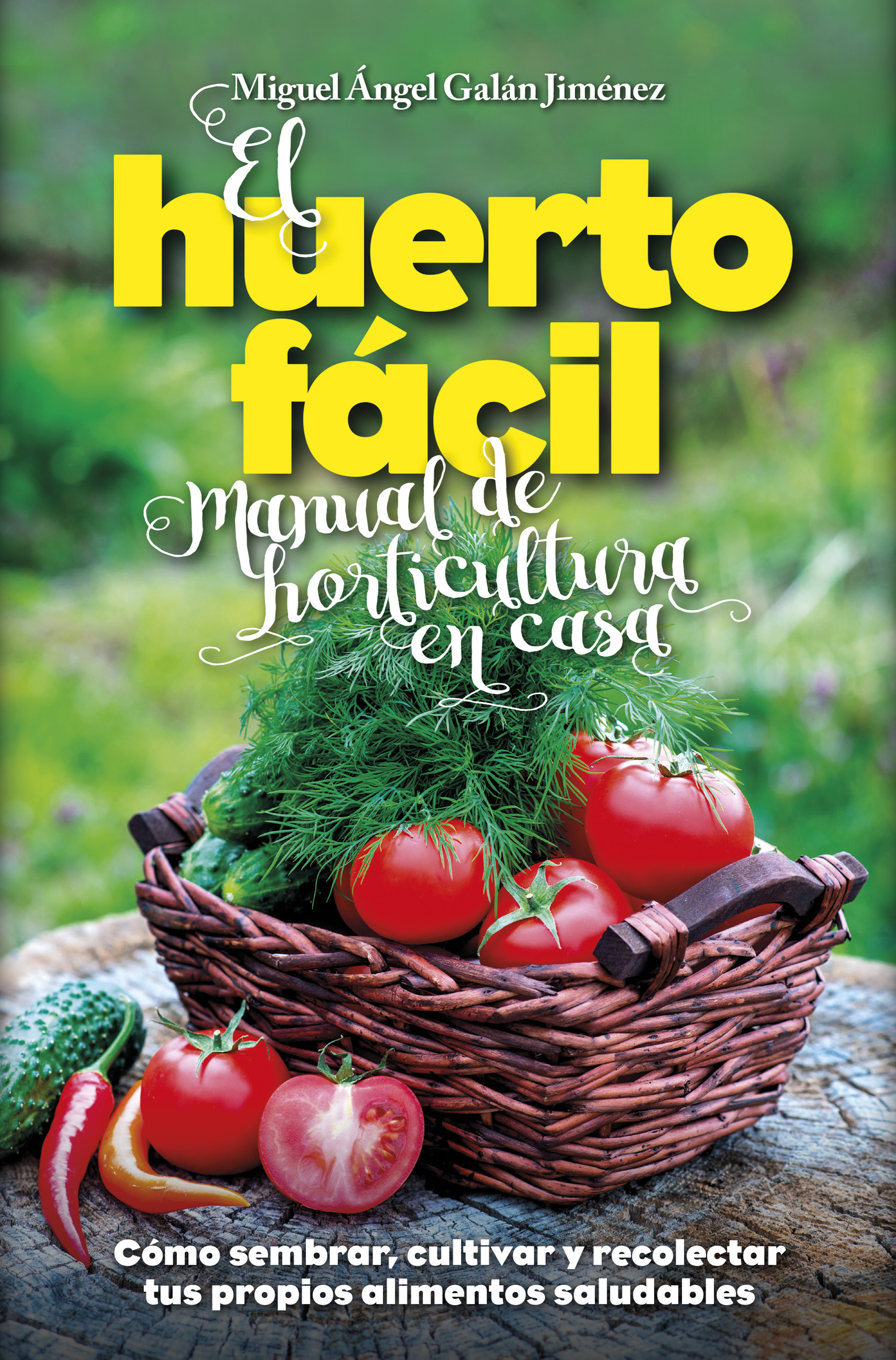Una nueva forma de entender la comida casera