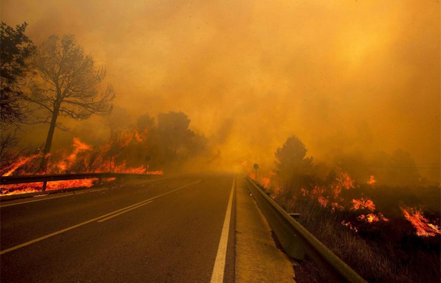 Congreso de los Diputados: modifiquen la Ley de Montes para que incendiar nuestros bosques no sea un negocio