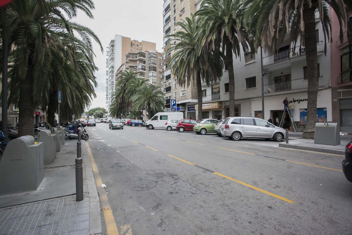 LA ALAMEDA DE COLÓN EN MÁLAGA PERMANECERÁ EL DOMINGO PARCIALMENTE CORTADA AL TRÁFICO PARA LA PODA DE PALMERAS