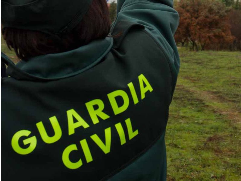 Desarticulada una organización criminal dedicada al robo de droga a otros narcotraficantes