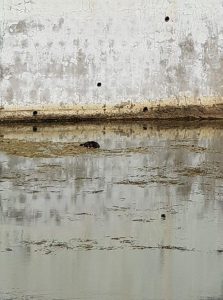 VOLVEMOS A EL SALTO DEL AGUA VOLVEMOS A EL SALTO DEL AGUA