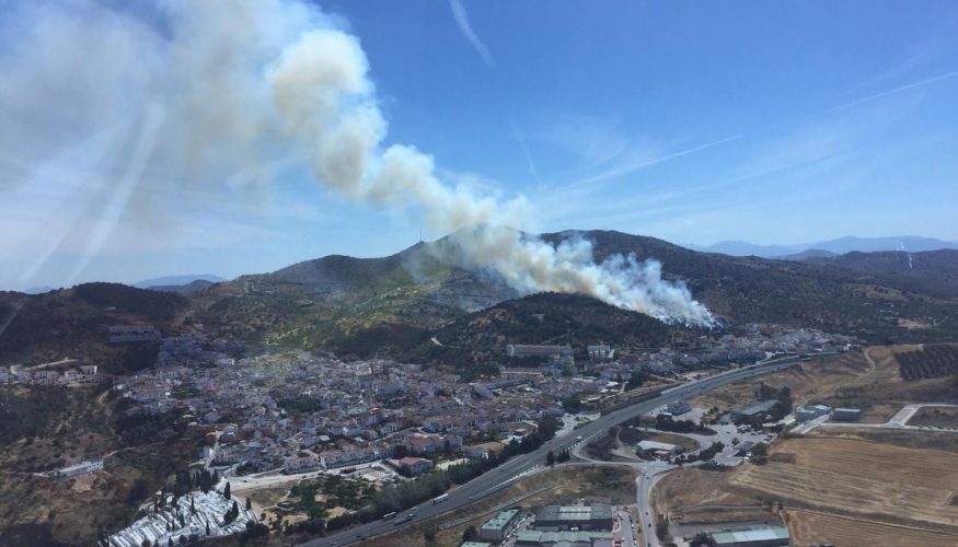 Controlado el incendio forestal declarado en Casabermeja Controlado el incendio forestal declarado en Casabermeja