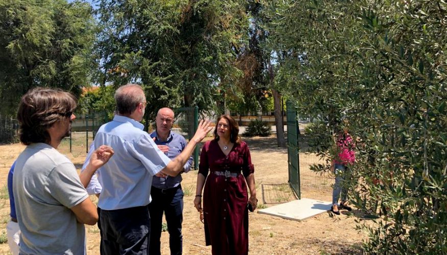 Crespo resalta que la Junta ha dado respuesta a todas las demandas del sector olivarero dentro de sus competencias Crespo resalta que la Junta ha dado respuesta a todas las demandas del sector olivarero dentro de sus competencias