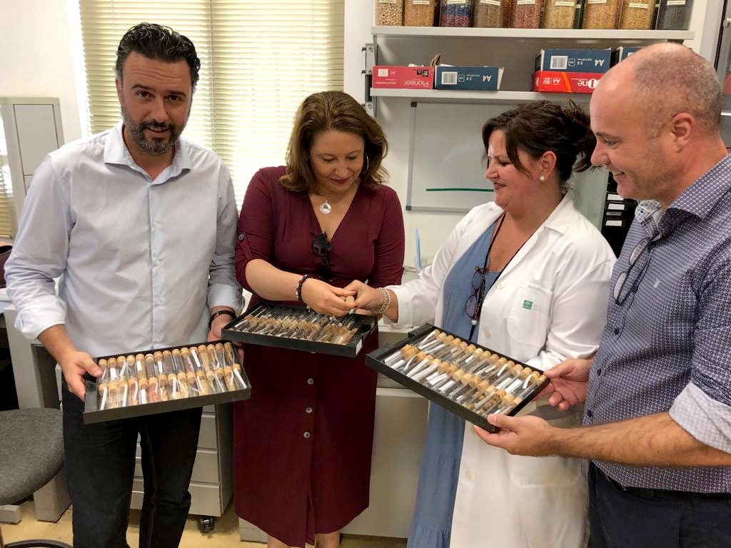 Crespo resalta que la Junta ha dado respuesta a todas las demandas del sector olivarero dentro de sus competencias Crespo resalta que la Junta ha dado respuesta a todas las demandas del sector olivarero dentro de sus competencias