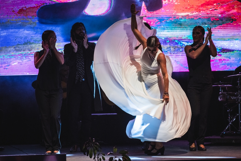 ESPECIAL FOTOGRÁFICO GALA STARLITE 2019 ESPECIAL FOTOGRÁFICO GALA STARLITE 2019