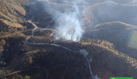 Declarado un incendio en un paraje forestal de la localidad malagueña de Pizarra