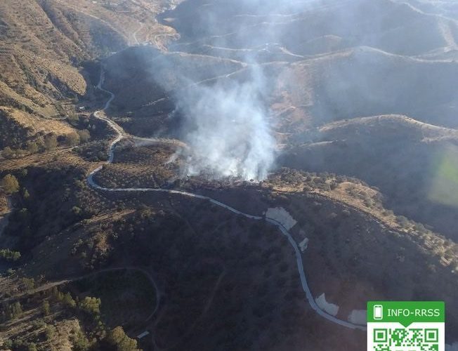 Declarado un incendio en un paraje forestal de la localidad malagueña de Pizarra
