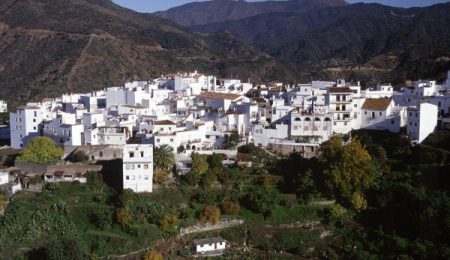 Fallece un hombre al caerle un árbol encima en una finca de Istán, Málaga