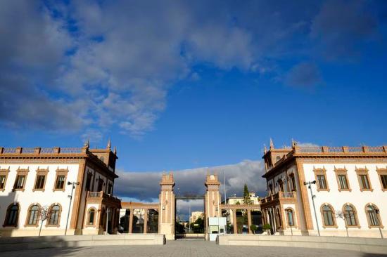 Contribuyentes que tengan que presentar plusvalía municipal podrán hacer declaración simple sin autoliquidación