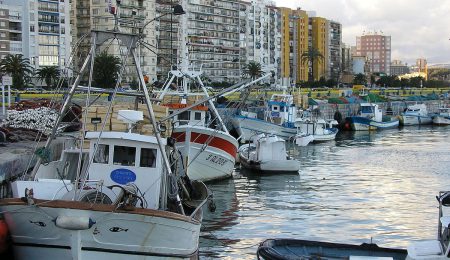 Ampliadas las especies marisqueras que se pueden capturar en zonas de Huelva y Málaga