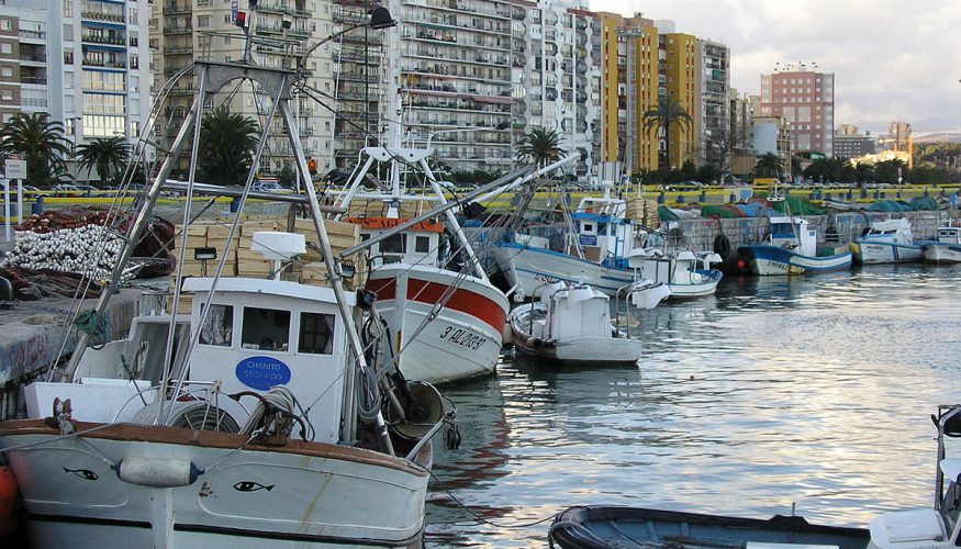 Ampliadas las especies marisqueras que se pueden capturar en zonas de Huelva y Málaga
