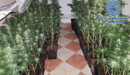 La Policía Nacional desmantela una plantación de marihuana en una vivienda de Málaga