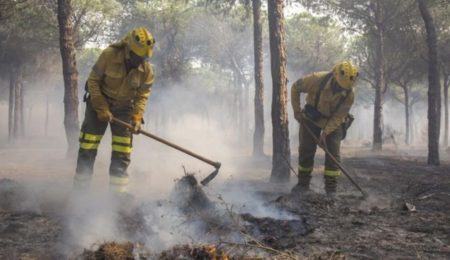 El incendio en Sierra Bermeja en Málaga no da tregua y ha quemado ya 7.400 hectáreas obligando a evacuar a 1.600 personas