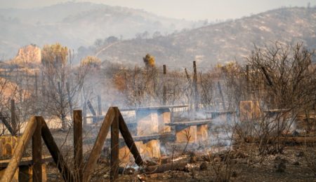 Fiscalía de Málaga presenta una denuncia por el incendio de Sierra Bermeja