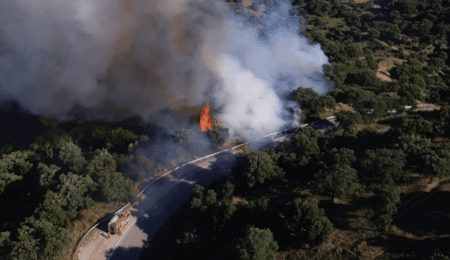 El incendio forestal en la localidad malagueña de Casares, que ha afectado a unas tres hectáreas de arbolado ha sido extinguido