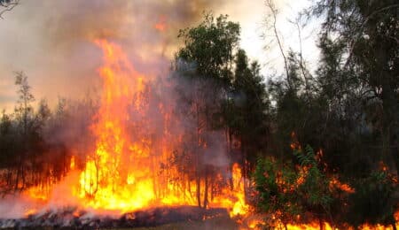 El Infoca da por controlado el incendio declarado junto a la AP-7 en Mijas, Málaga