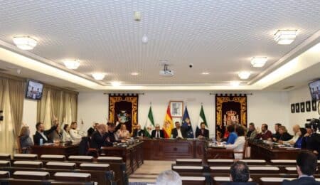 El Pleno del Ayuntamiento de Mijas aprueba avanzar en el proyecto de construcción del hospital en el municipio