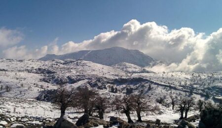 Pastores y agricultores se reúnen en El Burgo para conocer el nuevo proyecto MADRE de la Sierra de las Nieves