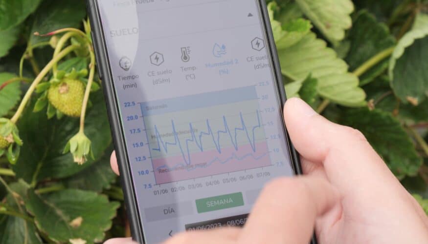 Fundalogy Unicaja se une a la startup SensaCultivo para promover una gestión eficiente del agua en los cultivos