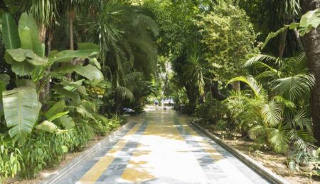 Marbella realiza más de 30.200 intervenciones en materia de sanidad vegetal en 2023