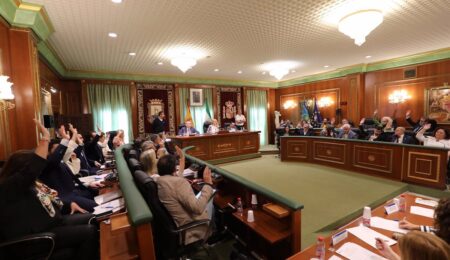 El Pleno de Marbella aprueba de forma definitiva normas urbanísticas El Pleno de Marbella aprueba de forma definitiva normas urbanísticas