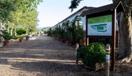 El Vivero de la Diputación de Málaga suministra más de 23.000 árboles y plantas para proyectos ambientales