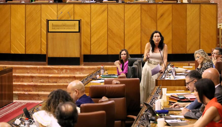 Andalucía asume 7 de cada 10 euros y reclama al Ejecutivo que sufrague el 50% de la dependencia