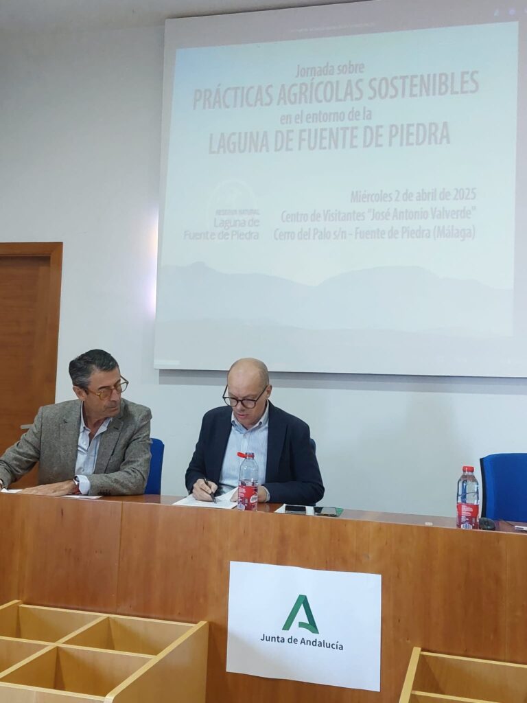 Agricultura Estrategia Olivar