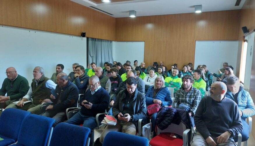 250406 Agricultura Estrategia Olivar02