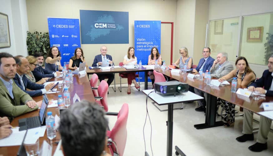 El Patronato de la Fundación CIEDES revisa el estado del plan de actuación 2025 y aprueba las cuentas anuales y la memoria de actividades 2024