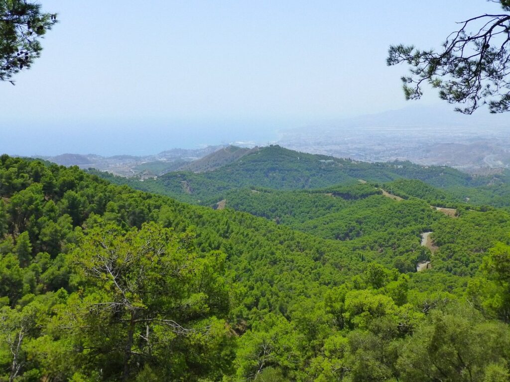 MÁLAGA: LA CIUDAD QUE LO TIENE TODO MÁLAGA: LA CIUDAD QUE LO TIENE TODO