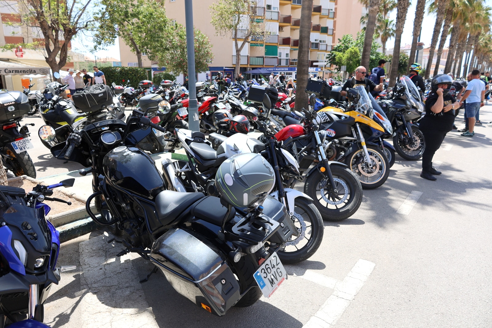 Torrox se convierte en una “pequeña Jerez” con récord de asistencia en el Día de la Moto Torrox se convierte en una “pequeña Jerez” con récord de asistencia en el Día de la Moto