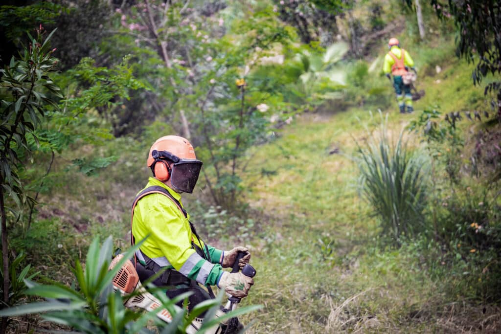 El Ayuntamiento de Málaga acomete trabajos de prevención de incendios en los parques forestales y periurbanos de la ciudad El Ayuntamiento de Málaga acomete trabajos de prevención de incendios en los parques forestales y periurbanos de la ciudad