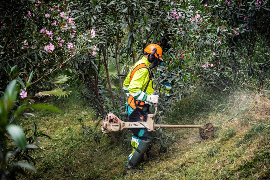 El Ayuntamiento de Málaga acomete trabajos de prevención de incendios en los parques forestales y periurbanos de la ciudad El Ayuntamiento de Málaga acomete trabajos de prevención de incendios en los parques forestales y periurbanos de la ciudad