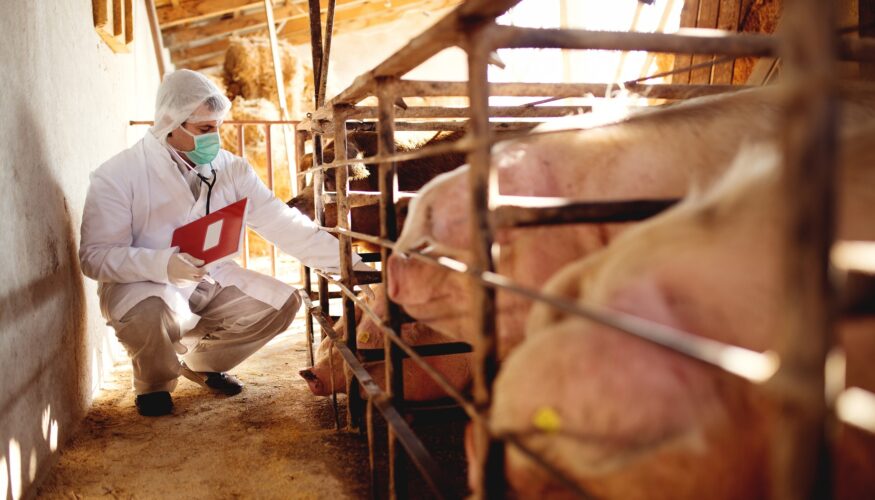 El plazo para solicitar ayudas por 3,2M€ para asesoramiento en sanidad y bienestar animal finaliza el 27 de julio
