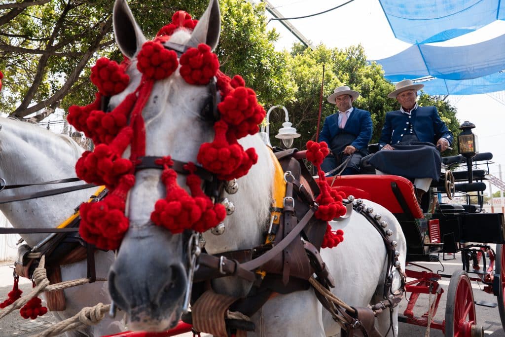 Elección de Reina y Míster de la Feria y corrida homenaje al Málaga CF, las citas del lunes 17 de agosto