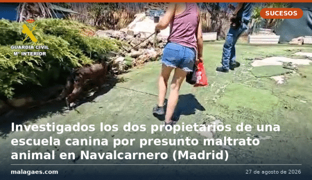 Investigados los dos propietarios de una escuela canina por presunto maltrato animal en Navalcarnero (Madrid)