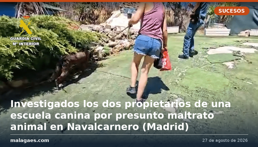 Investigados los dos propietarios de una escuela canina por presunto maltrato animal en Navalcarnero (Madrid)