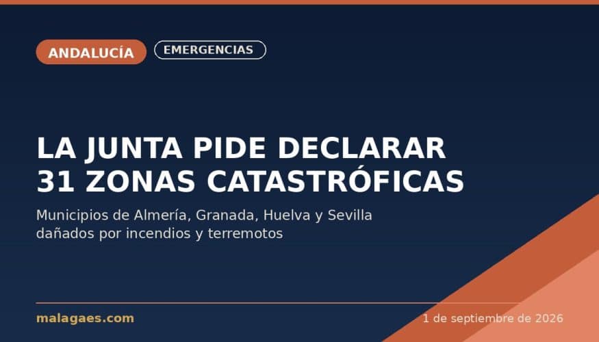 La Junta reclama al Gobierno declarar 31 zonas gravemente afectadas por incendios y terremotos