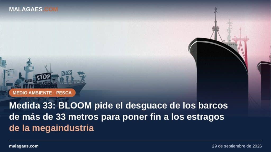 MEDIDA 33: BLOOM pide el desguace de los barcos de más de 33 metros para poner fin a los estragos de la megaindustria