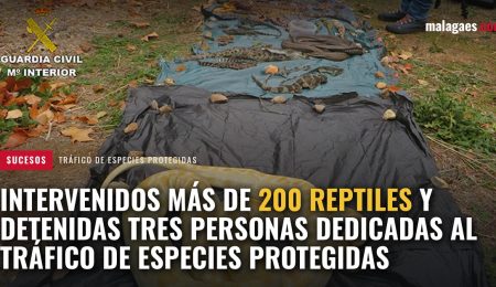 Intervenidos más de 200 reptiles y detenidas tres personas dedicadas al tráfico de especies protegidas hazme un banner para malagaes.com con este texto e incluye la foto de fondo