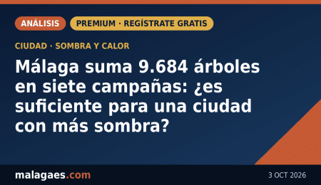 Málaga suma 9.684 árboles en siete campañas: ¿es suficiente para una ciudad con más sombra?