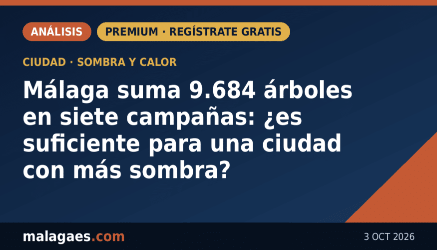 Málaga suma 9.684 árboles en siete campañas: ¿es suficiente para una ciudad con más sombra?