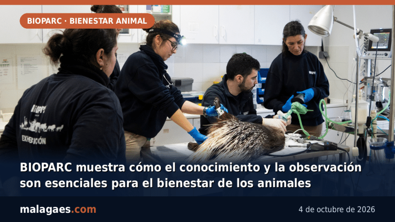 BIOPARC muestra cómo el conocimiento y la observación son esenciales para el bienestar de los animales