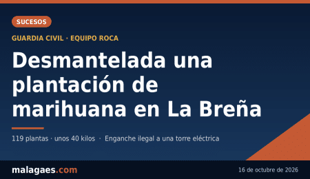 La Guardia Civil desmantela una plantación de marihuana con enganche ilegal a una torre eléctrica en La Breña La Guardia Civil desmantela una plantación de marihuana con enganche ilegal a una torre eléctrica en La Breña