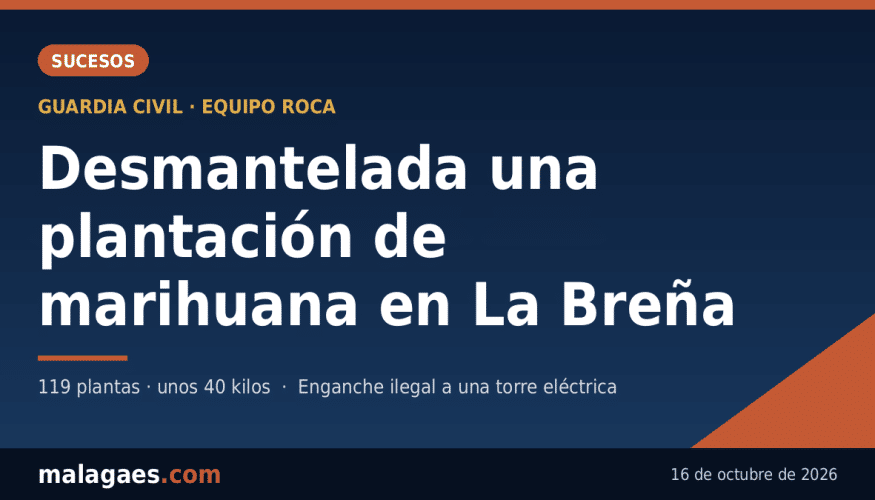La Guardia Civil desmantela una plantación de marihuana con enganche ilegal a una torre eléctrica en La Breña